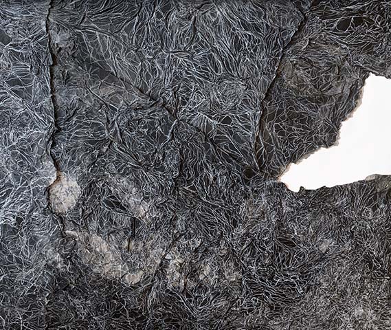 2Headliner Image 2 Katherine Filice