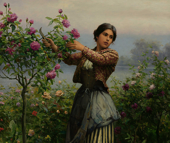 daniel ridgway knight e1286 cutting roses