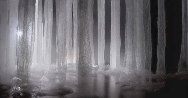forest memory copy